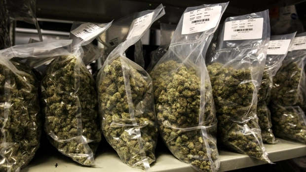 Black market cannabis sealed bags