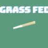 Grass Fed Pre-Rolled Joints