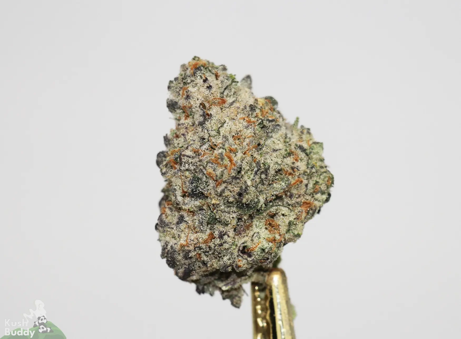 Strain Review: Hawaiian Punch - Surrey Weed Delivery