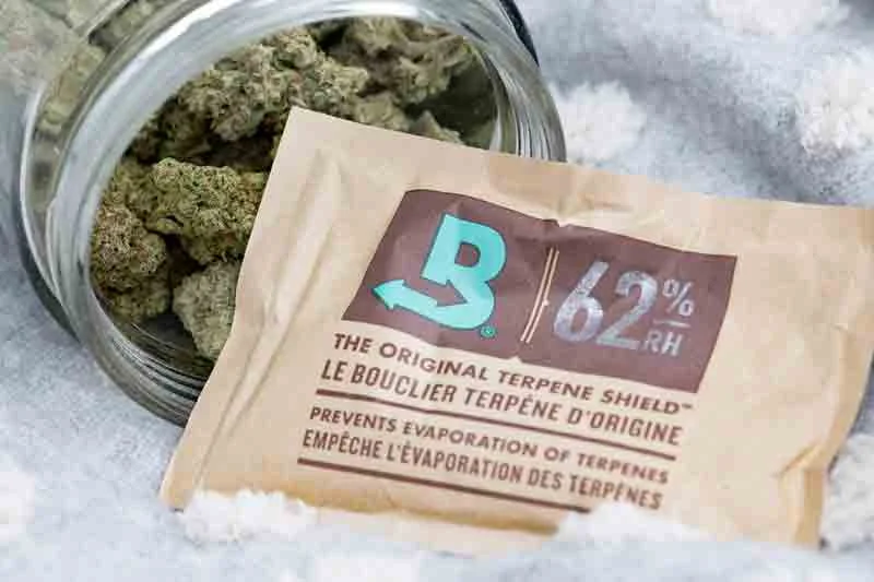The Low Down On Boveda Packs Good or Bad? Weed Delivery TriCities