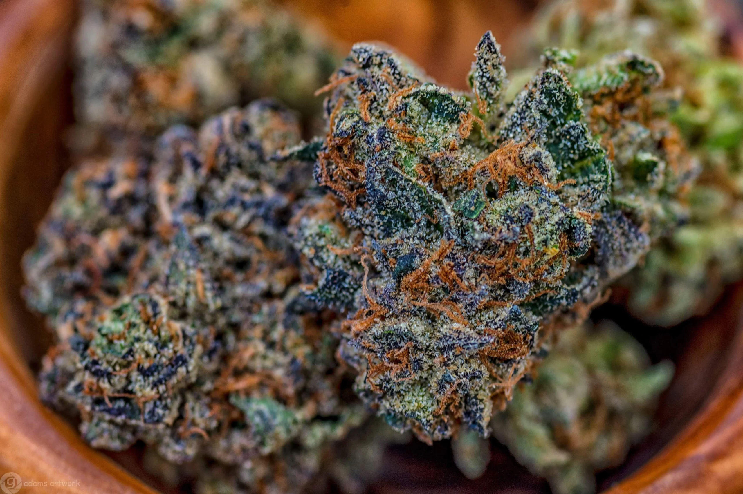 Strain Review Jokerz Candy Same Day Weed Delivery TriCities The