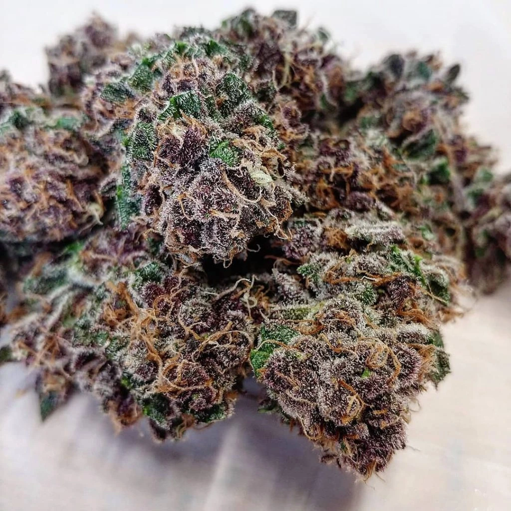 Strain review Blueberry Muffins