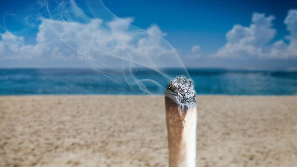 10 Incredible Vancouver Beaches For Smoking Weed