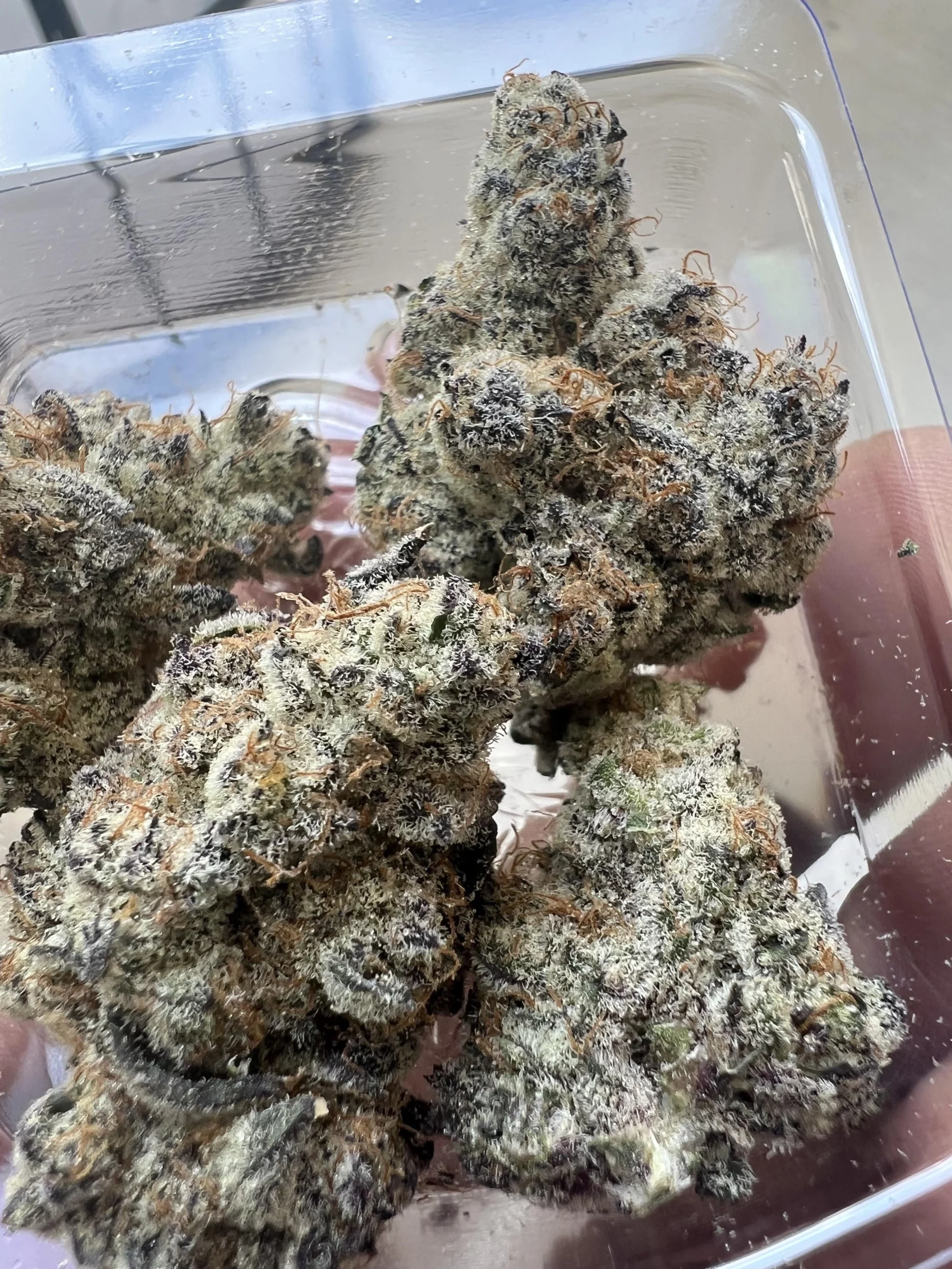 Strain Review Frozen Grapes Weed Delivery Vancouver