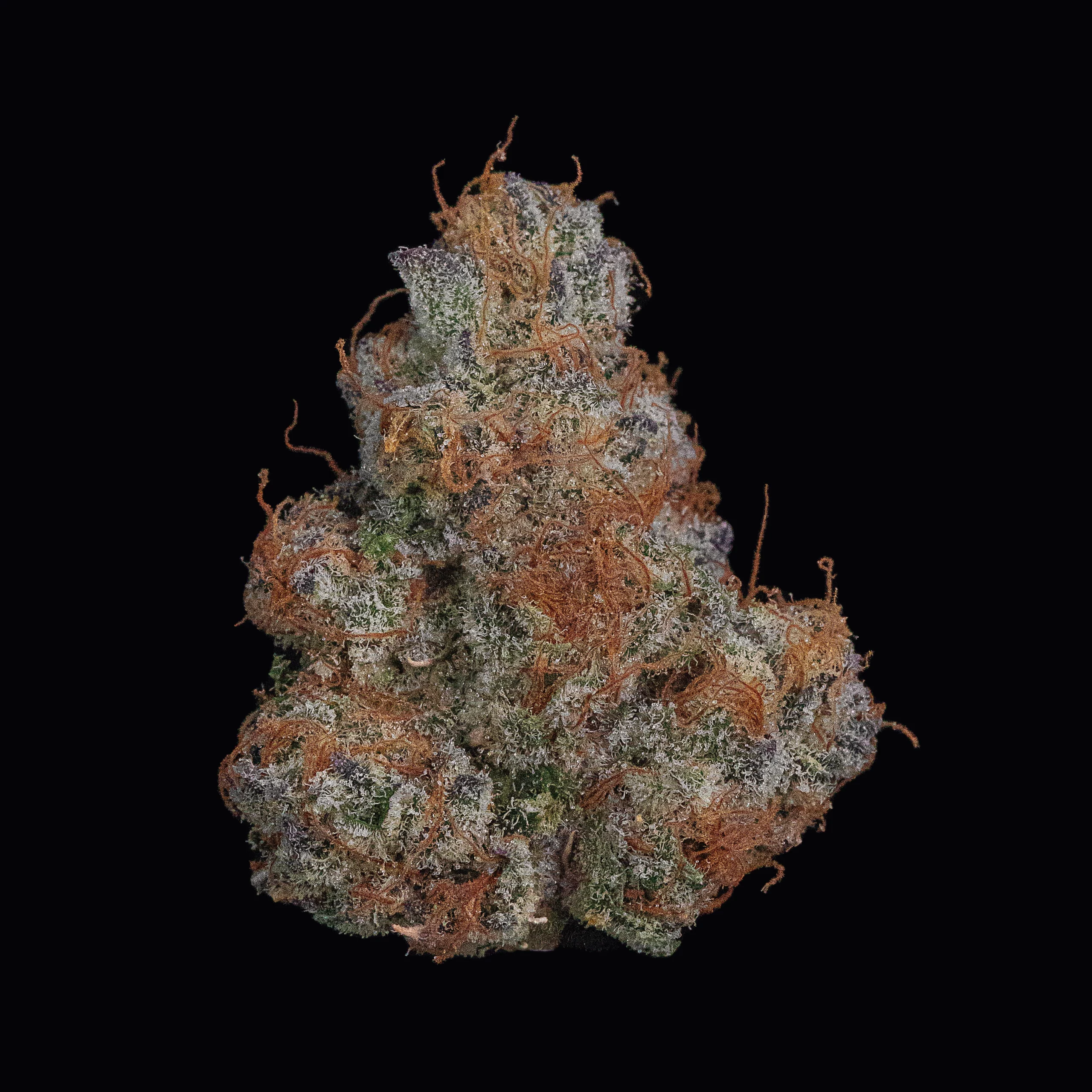 Strain Review LA Kush Cake Weed Delivery Vancouver