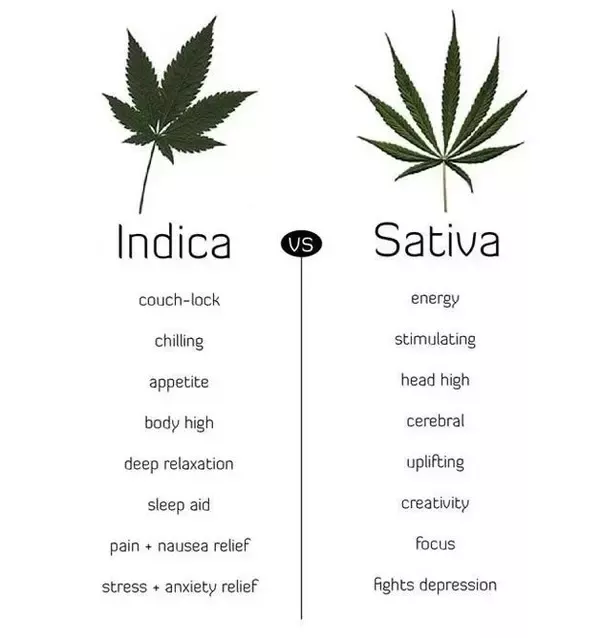 Does Indica Weed Make You Sleepy?