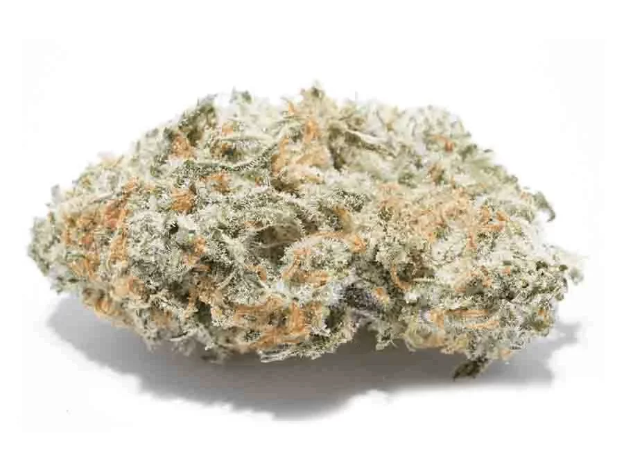 Strain Review Grapefruit Haze Weed Delivery Vancouver