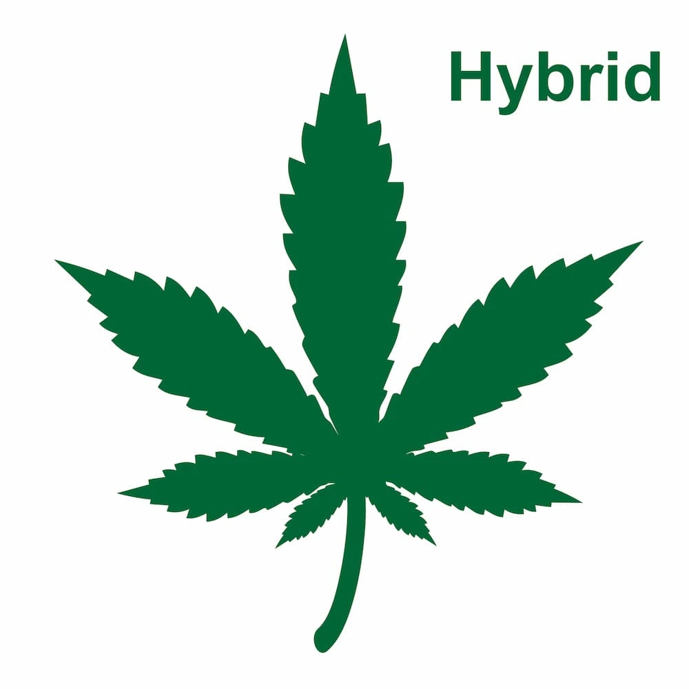hybrid strains