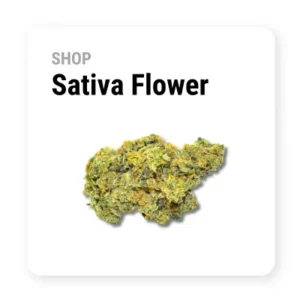 Sativa Flower