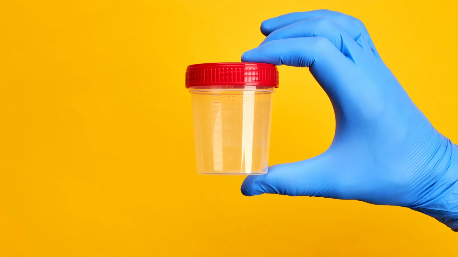 how to pass a drug test