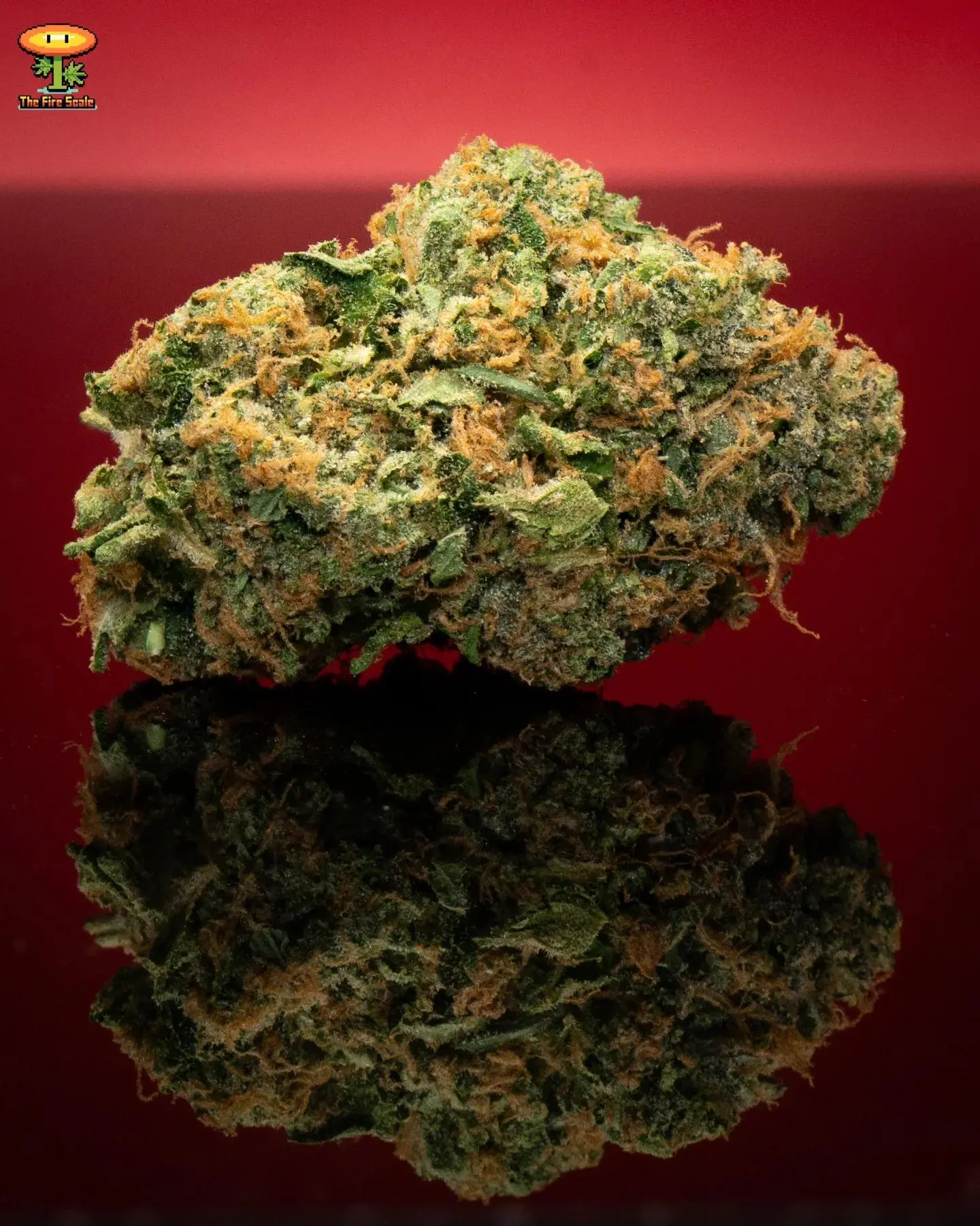 Baby Za Strain - py9t9fk
