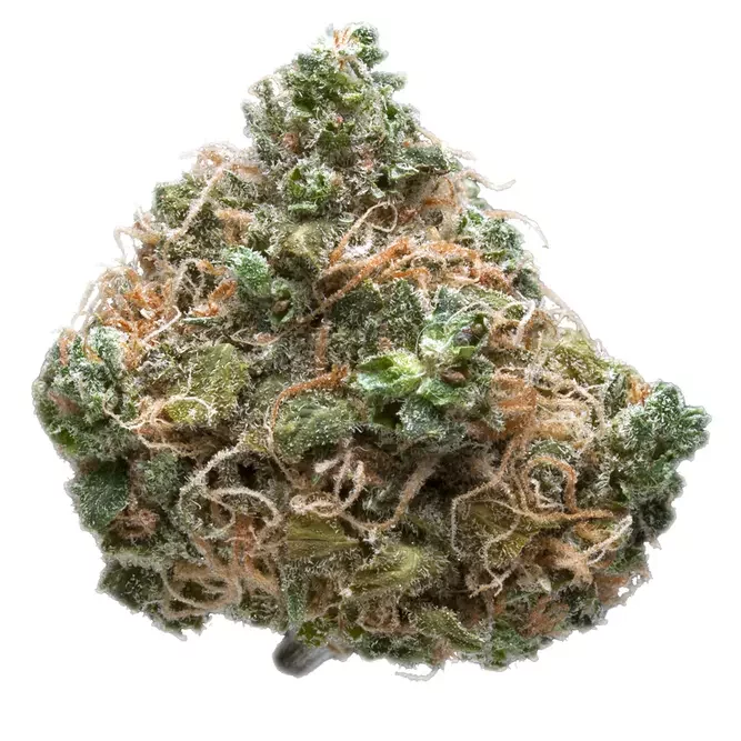 Strain Review Grapefruit Diesel Weed Delivery Winnipeg