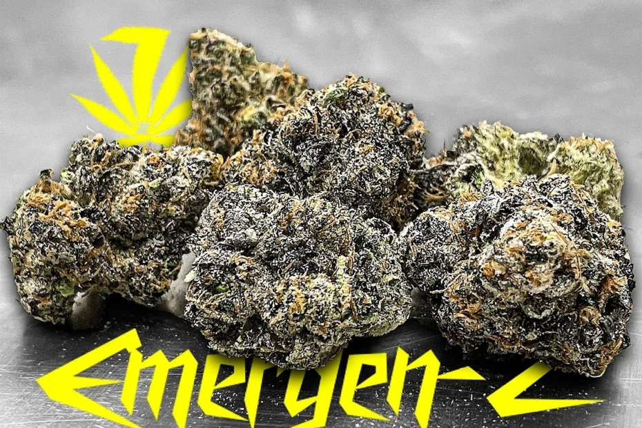 emergen c cannabis