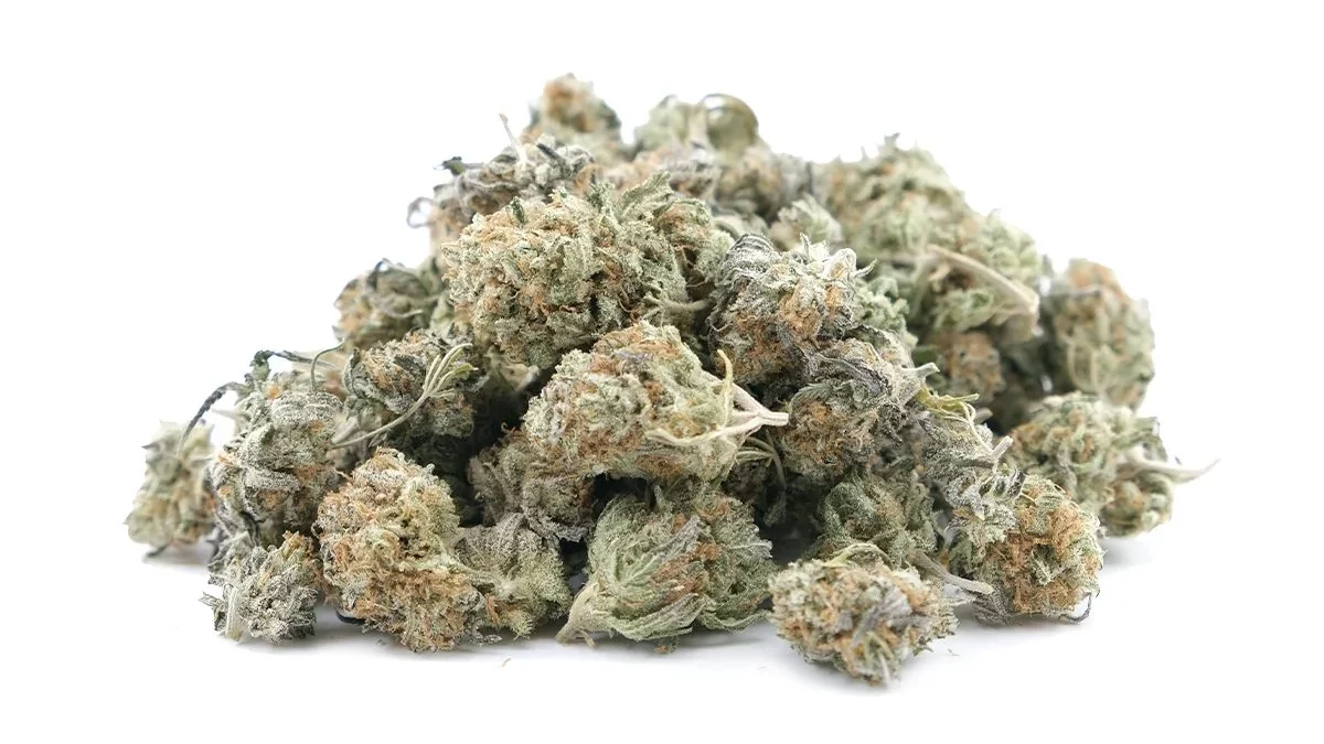 Strain Review Grapefruit Diesel Weed Delivery Winnipeg