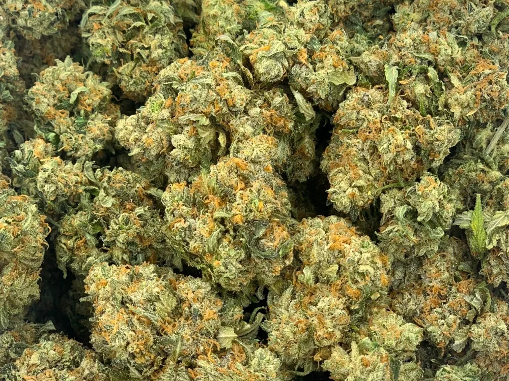 What Does Kush Mean? Weed Delivery Winnipeg