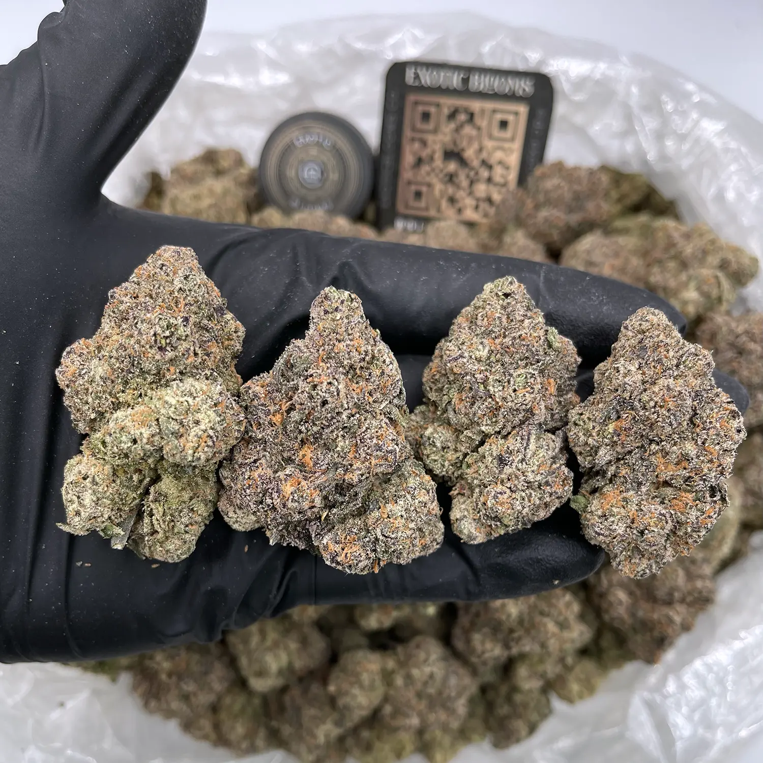 Leafly's 2023 Strain of The Year Permanent Marker Weed Delivery Winnipeg