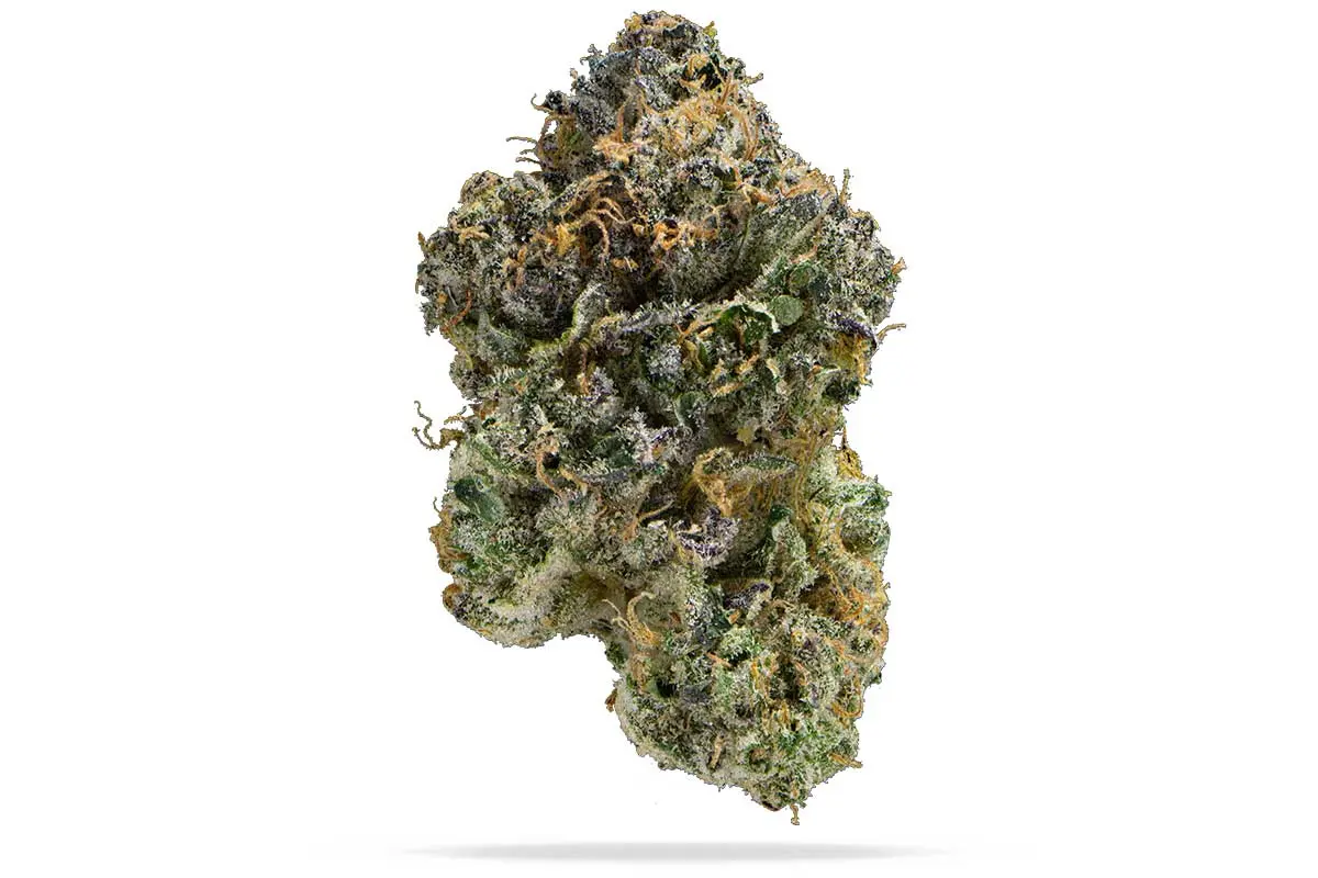 Leafly's 2023 Strain of The Year Permanent Marker Weed Delivery Winnipeg